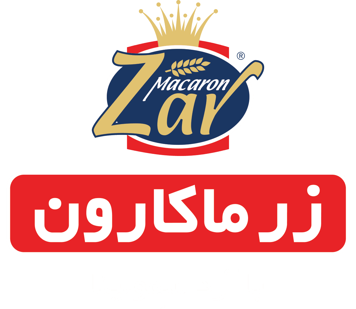 خدمات های ما به شرکت ها